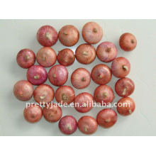 Chinese Fresh Red Onion produtor